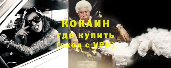 сатива Краснослободск